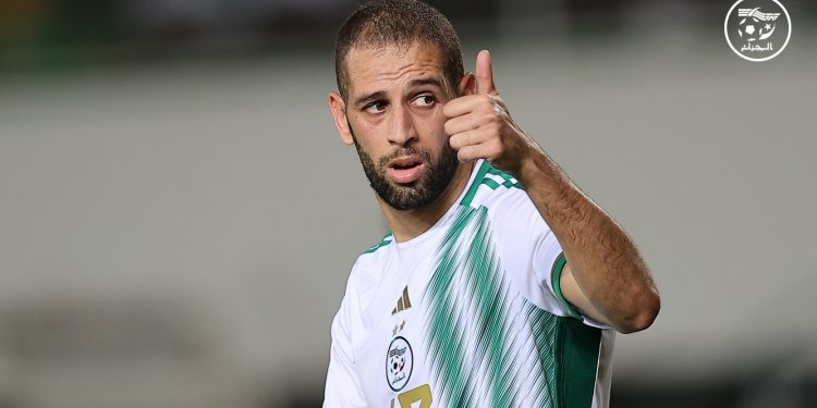 إسلام سليماني