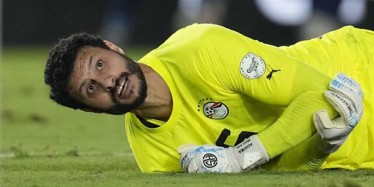 محمد الشناوي