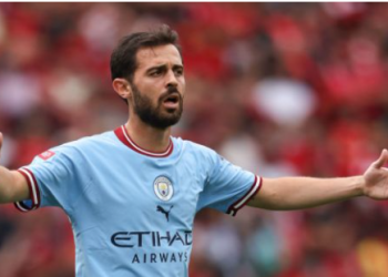 بيرناردو سيلفا