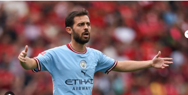 بيرناردو سيلفا