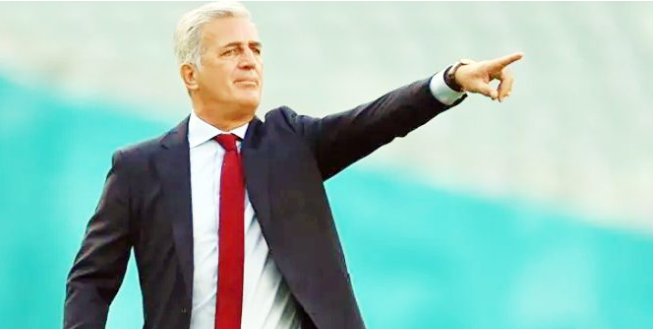 فلاديمير بيتكوفيتش