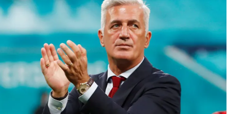 فلاديمير بيتكوفيتش