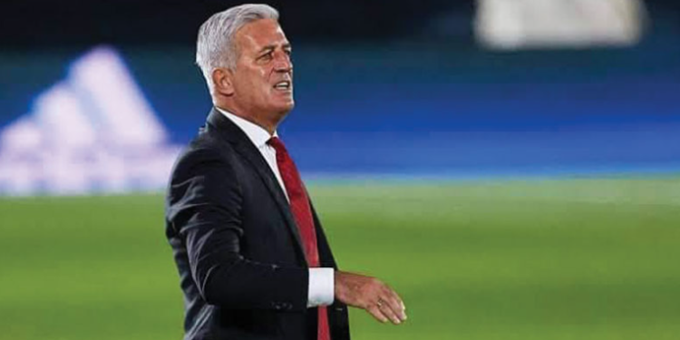 فلاديمير بيتكوفيتش