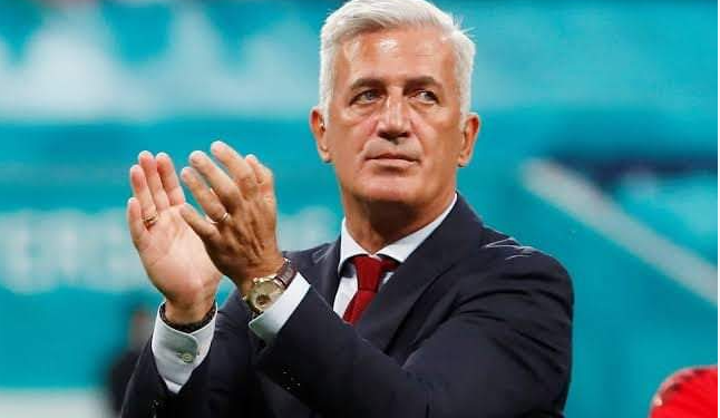 فلاديمير بيتكوفيتش