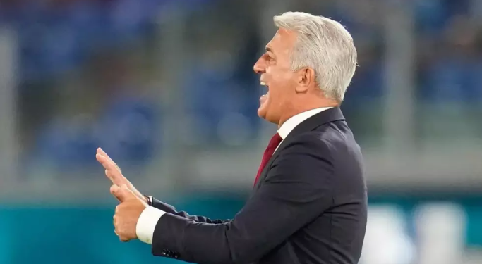 فلاديمير بيتكوفيتش