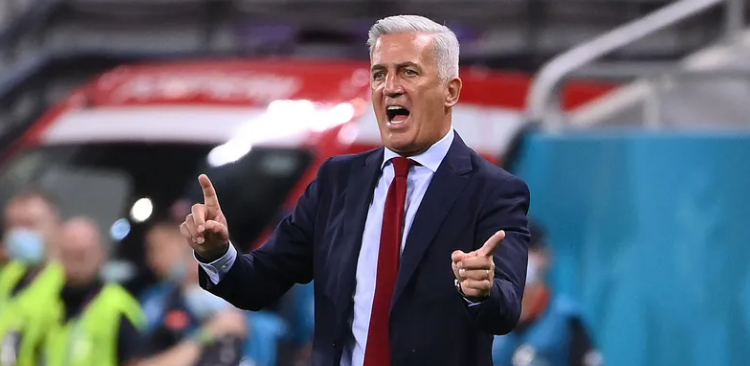 فلاديمير بيتكوفيتش