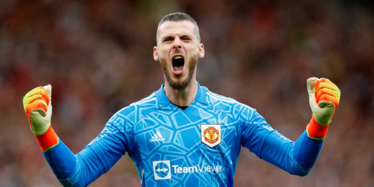 ديفيد دي خيا