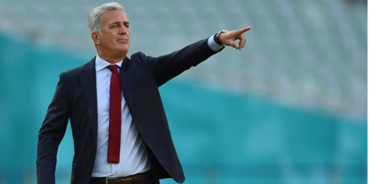 فلاديمير بيتكوفيتش