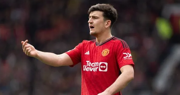 هاري ماغوير