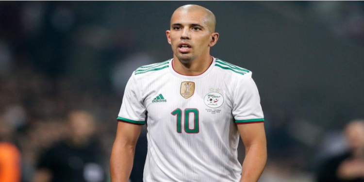 سفيان فيغولي