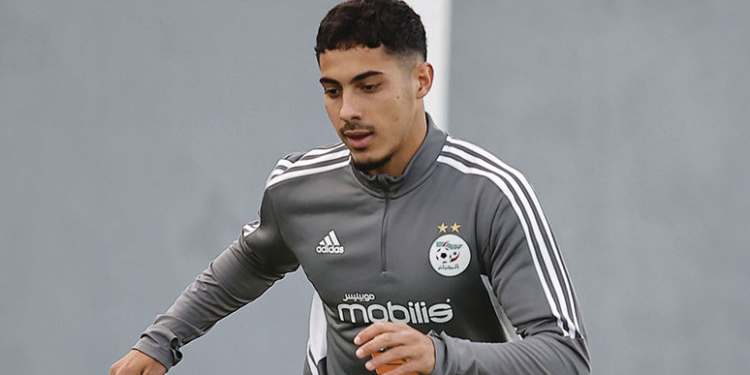 فارس شايبي