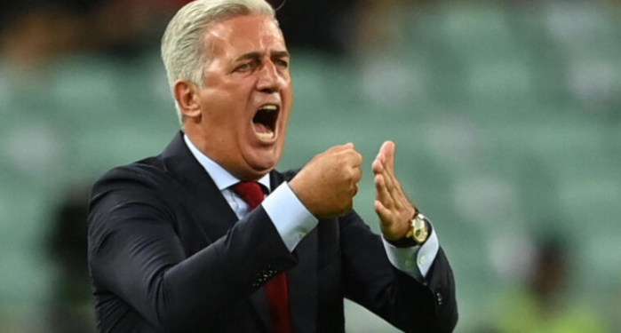 فلاديمير بيتكوفيتش