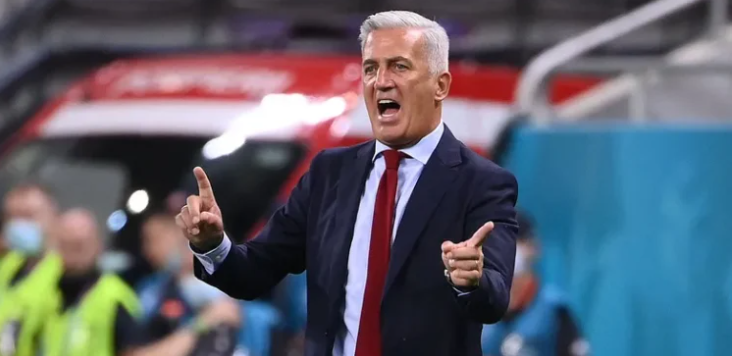 فلاديمير بيكوفيتش