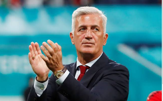 فلاديمير بيتكوفيتش