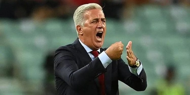 فلاديمير بيتكوفيتش