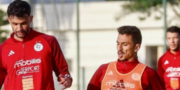 المنتخب الوطني المحلي