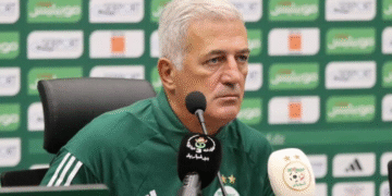 فلاديمير بيتكوفيتش