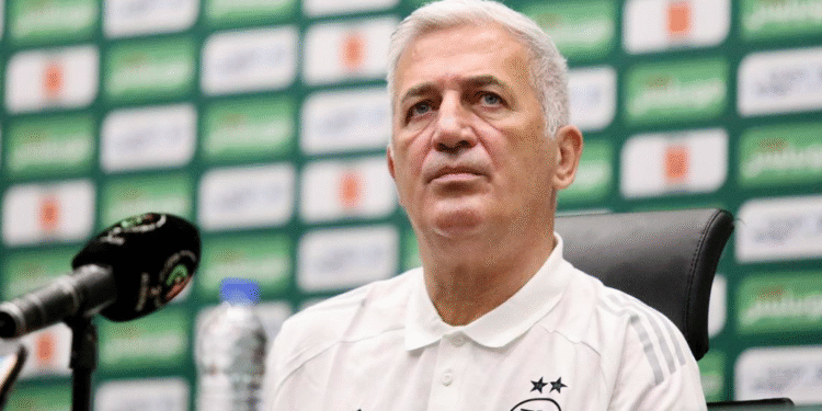 فلاديمير بيتكوفيتش