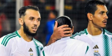 ماندي رفقة غويري