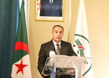 وليد صادي