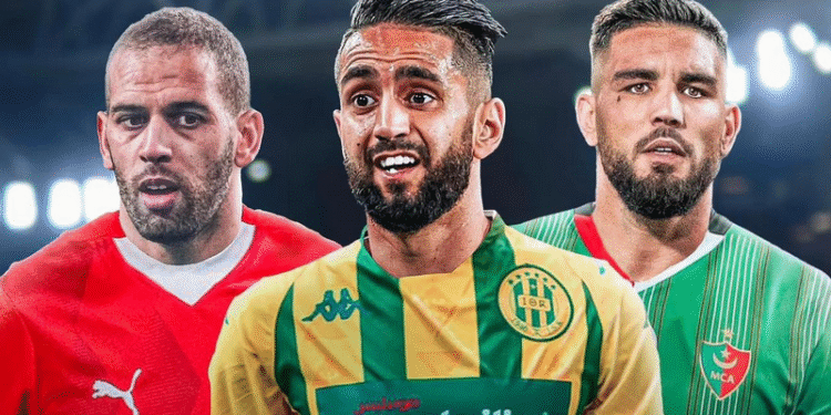 سليماني بودبوز ديلور