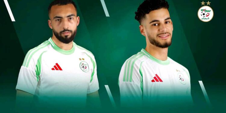 كيفن قيتون حماد عبدلي