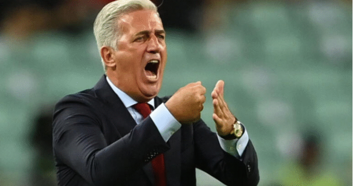 فلاديمير بيتكوفيتش