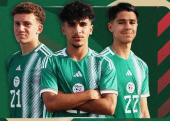 الدورة الودية الدولية