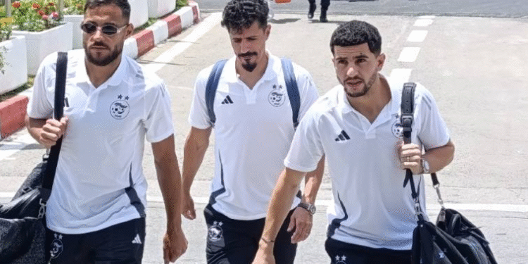 منتخب الجزائر