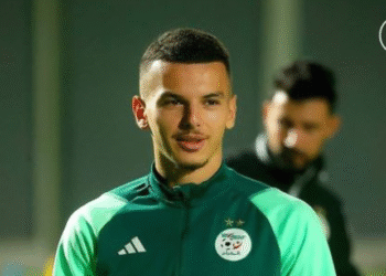 بدر الدين بوعناني