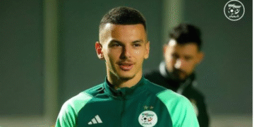بدر الدين بوعناني