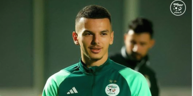 بدر الدين بوعناني