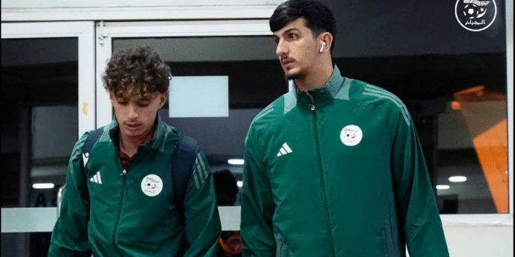 منتخب الجزائر المحلي