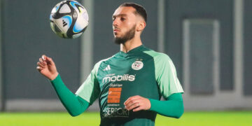 أمين غويري