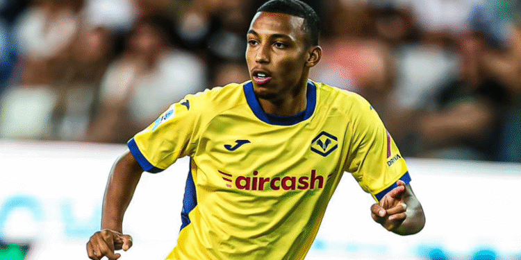 رفيق بلغالي