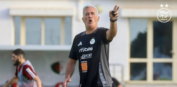 فلاديمير بيتكوفيتش