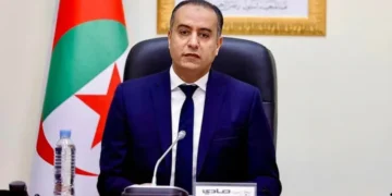 وليد صادي