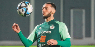 أمين غويري