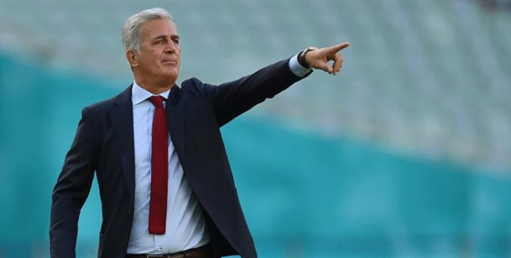 فلاديمير بيتكوفيتش