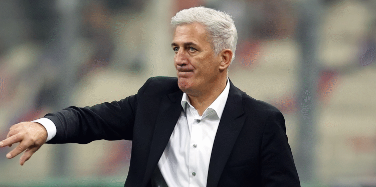 فلاديمير بيتكوفيتش