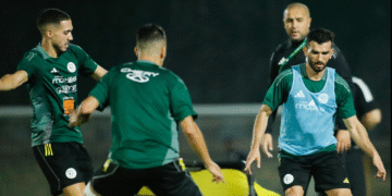 منتخب الجزائر المحلي
