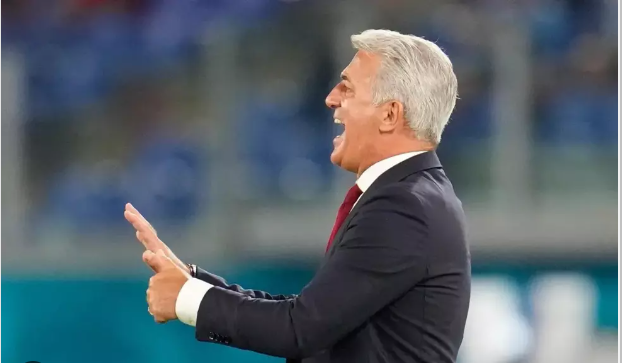 فلاديمير-بيتكوفيتش