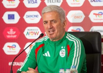 فلاديمير بيتكوفيتش