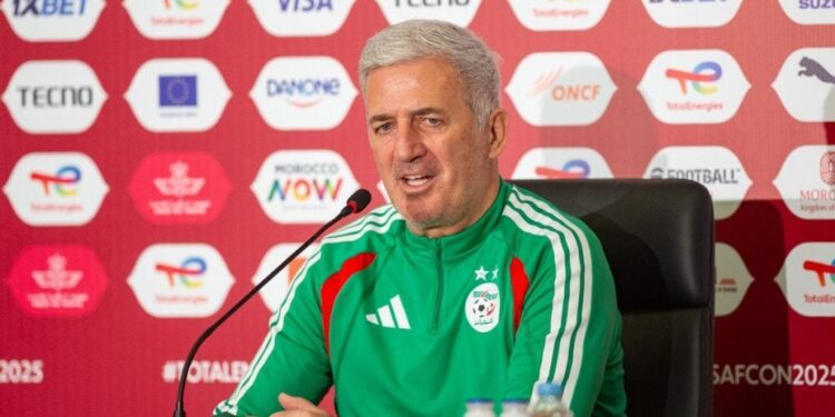 فلاديمير بيتكوفيتش