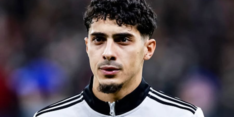فارس شايبي