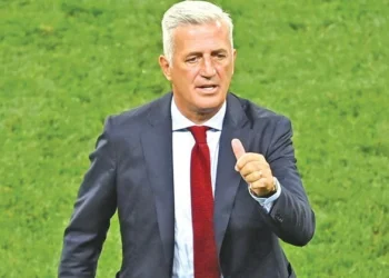 فلاديمير بيتكوفيتش